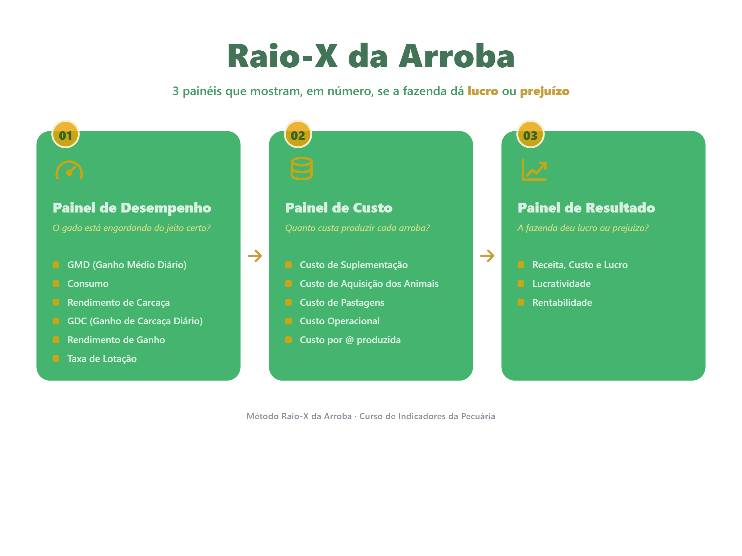 Método Raio-X da Arroba: 3 painéis
