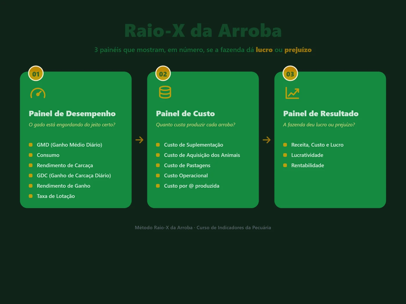 Método Raio-X da Arroba: 3 painéis